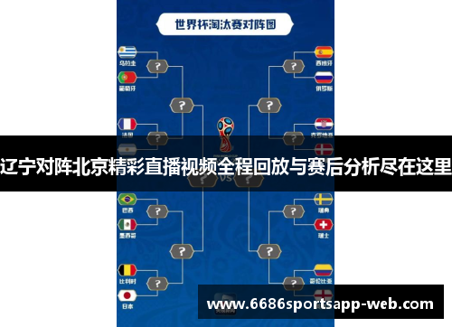 辽宁对阵北京精彩直播视频全程回放与赛后分析尽在这里